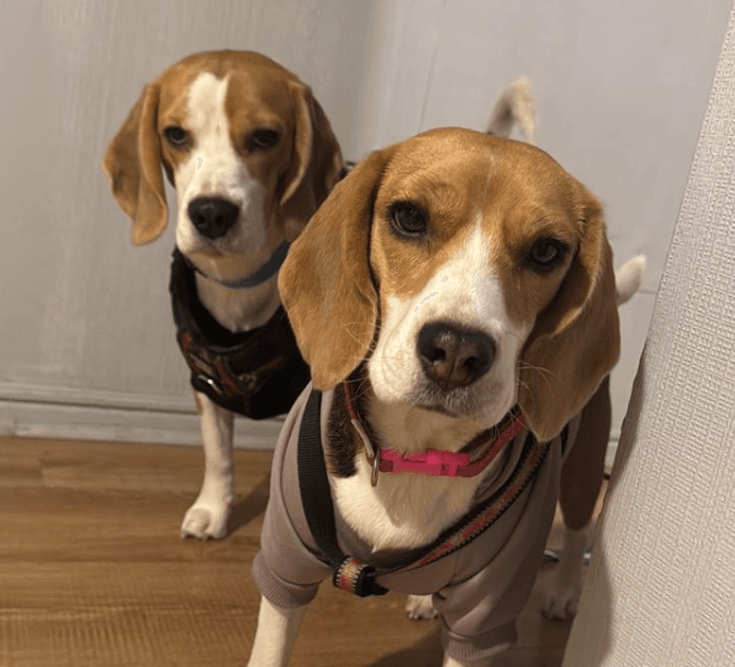 Foto de Barbara, Ron y Violeta