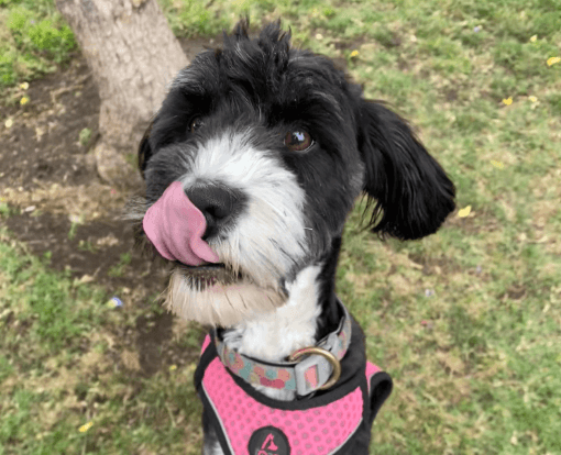 Foto de Camila y Pandy