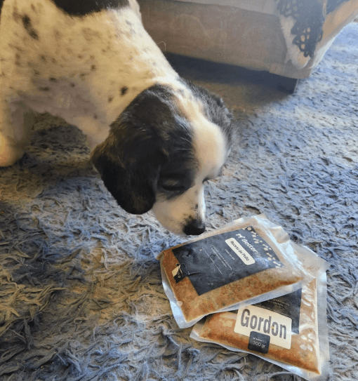 Foto de Ana María y Gordon