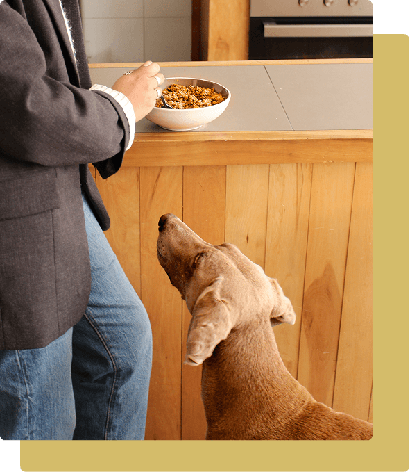 Persona sirviendo comida natural a su perro